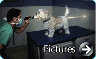 Button_Pictures
