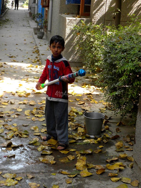 Holi in Cosy Apartment, Rohini, New Delhi