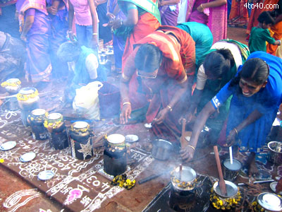 Pongal Festival of Tamilians