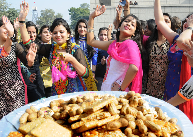 Students of Northern India Institute of Fashion Technology NIIFT celebrate Lohri in Mohali