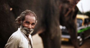 अपनापन – बुद्धिसेन शर्मा