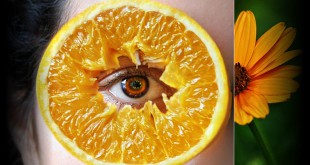 संतरा बढ़ाये रोग ­प्रितरोधक क्षमता-Benefits Of Orange Fruit