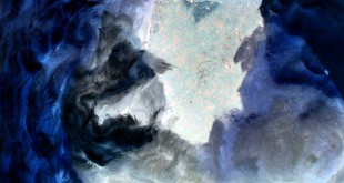 भेड़ियों के ढंग By Udaybhanu Hans