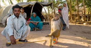 मदारी का वादा - राजीव कृष्ण सक्सेना