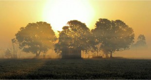नए साल की शुभकामनाएं - सर्वेश्वर दयाल सक्सेना