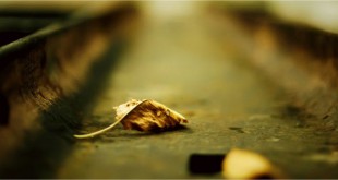 निष्क्रियता - राजीव कृष्ण सक्सेना