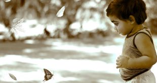 उठो लाल अब आँखें खोलो - सोहनलाल द्विवेदी