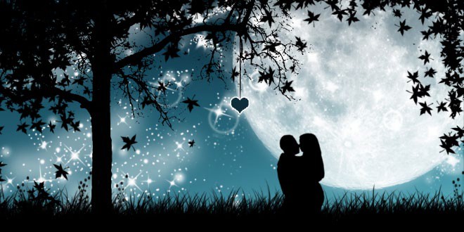 Valentines Day Festival Information For Students