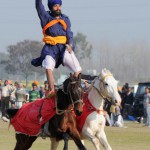 A Nihang showcasing his riding skills at the 79th Kila Raipur Sports Festival at Kila Raipur village, Ludhiana
