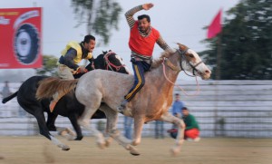 A horse race in progress at 79th Kila Raipur Sports Festival at Kila raipur village, Ludhiana