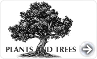 Plants & Trees Encyclopedia