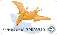 Prehistoric Animals Encyclopedia