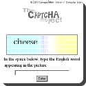 What is the CAPTCHA Project?