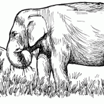 Grazing elephant coloring page