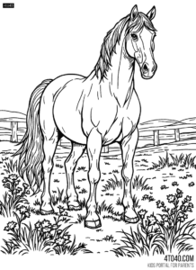 Horses can sleep standing up and lying down