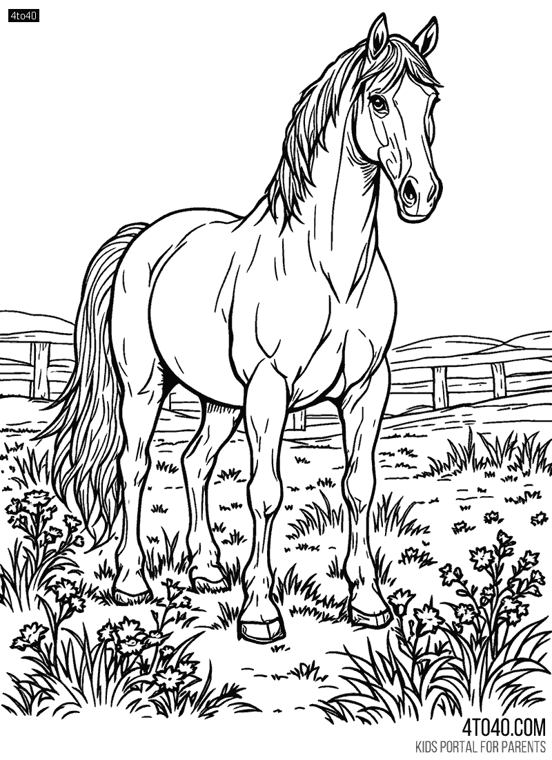 Horses can sleep standing up and lying down