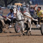 Jockeys taking part in a horse cart race on the concluding day of the 79th Kila Raipur Sports Festival at Kila Raipur village, Ludhiana