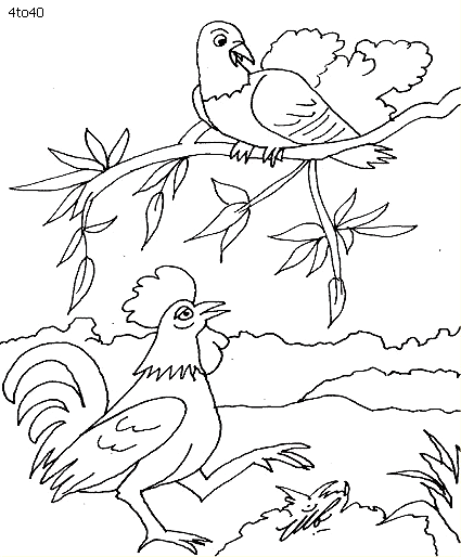 Pigeon And Rooster Coloring Page