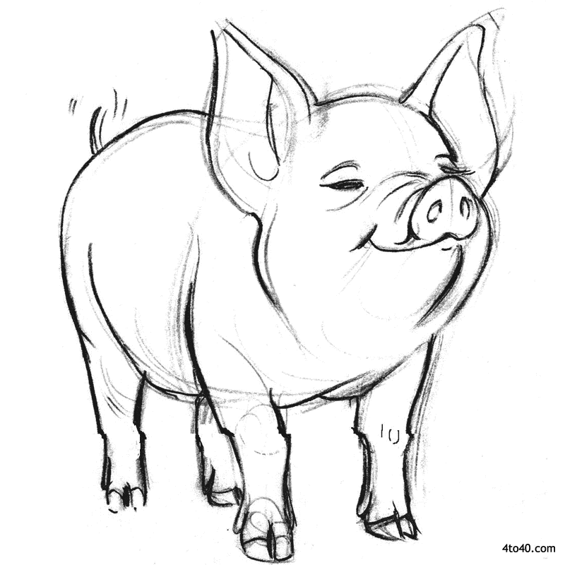 Smiling Pig Coloring Page