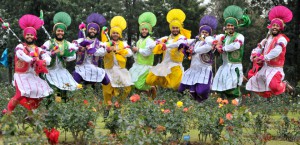 Students from Government College Sector 46 Chandigarh perform on the inaugural day of the three day Rose Festival that began at the Rose Garden Sector 16 in Chandigarh