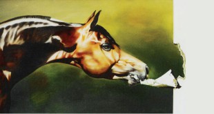 अगर कहीं मैं घोड़ा होता - सर्वेश्वर दयाल सक्सेना