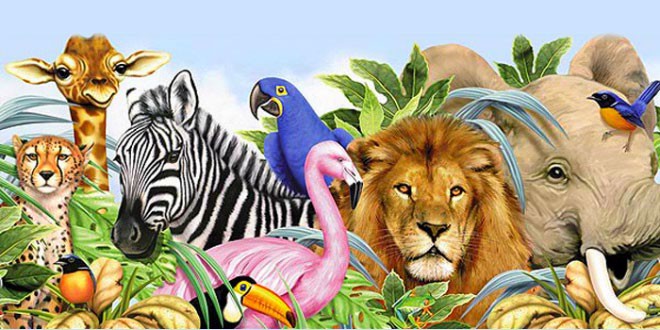 Animals coloring pages