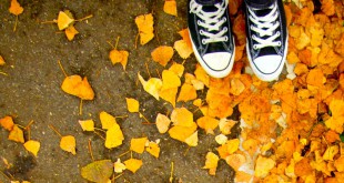 अंतिम मिलन - बालकृष्ण राव