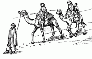 Camel Safari Coloring Page