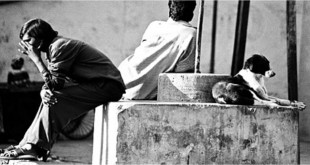 चल मियाँ - जेमिनी हरियाणवी