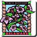 Delaware Flower