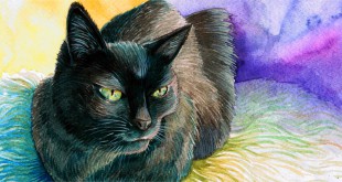 Domestic Animals Coloring Pages