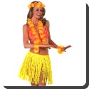 What is a grass skirt?