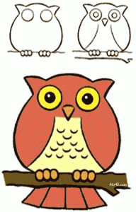 How to draw an owl