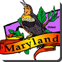 Maryland Bird