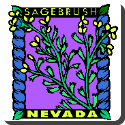 Nevada Flower