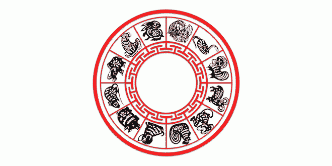 Read the chinese signs