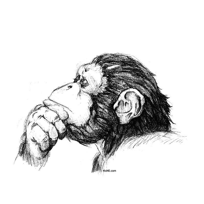 Smart monkey coloring page