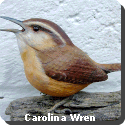 South Carolina State Bird