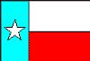 Texas State Flag