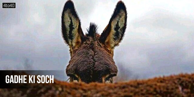 गधे की सोच: आलोचनाओं से विचलित न हो बल्कि उन्हें उपयोग में लाएं