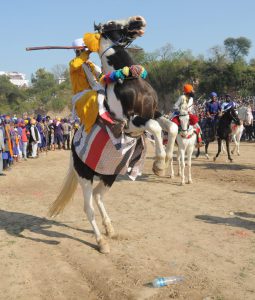 A Sikh devotee performs on horseback at the Hola Mohalla festival at Anandpur Sahib on March 13, 2017