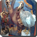 As dead as the dodo