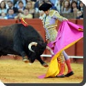 Why does a bull react violently to the colour red?