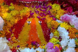 Chintpurni Devi Temple, Una during Navratri festival