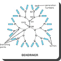 What are dendrimers?