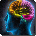 Does a bigger brain make you smarter?