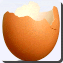 What makes the Egg Shell so strong?