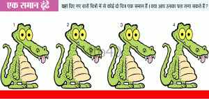 Find The Similar – Hungry Crocodile