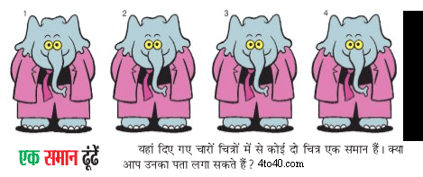 Find the similar - Happy Elephant