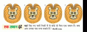 Find the similar- Puzzled lion